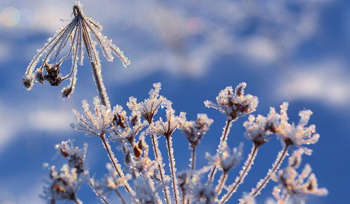 Изображение заголовка